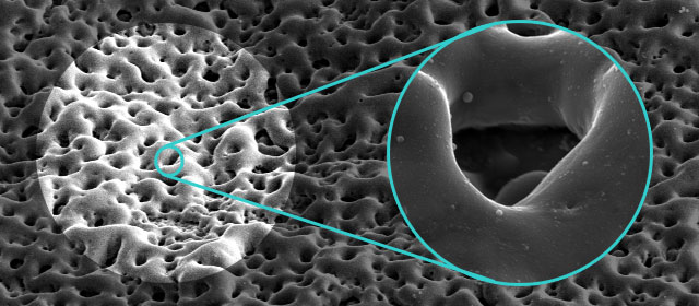 MAO-Oberfläche eines Titanimplantats